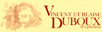 Logo Duboux Vincent et Blaise