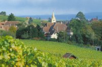 Photo Cave des viticulteurs de Bonvillars